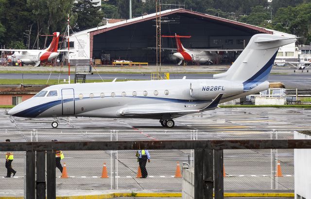 Gulfstream American Gulfstream 2 (N828FL)