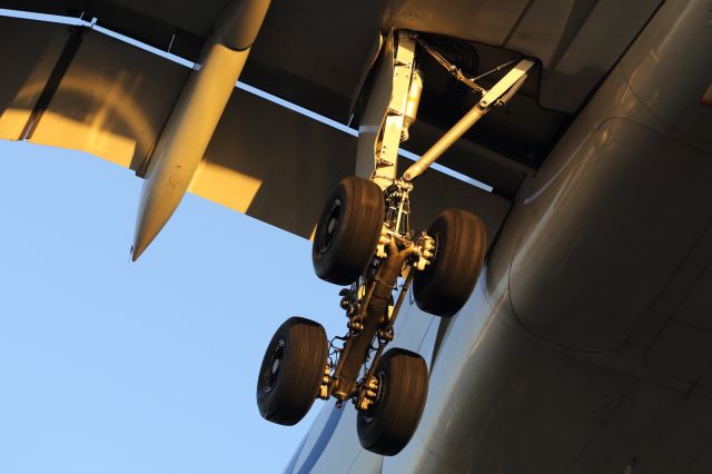 Airbus A330-200 — - Starboard landing gear of an A330.