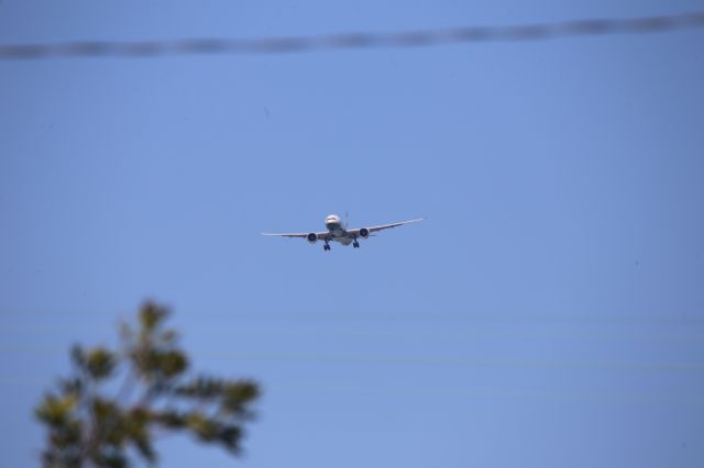 BOEING 777-300ER (B-16706)