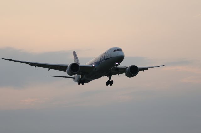 Boeing 787-8 (JA817A) - 29 July 2016:HND-HKD.