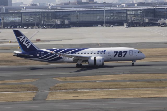 Boeing 787-8 (JA801A) - Landing at Haneda Intl Airport Rwy34L on 2012/02/24