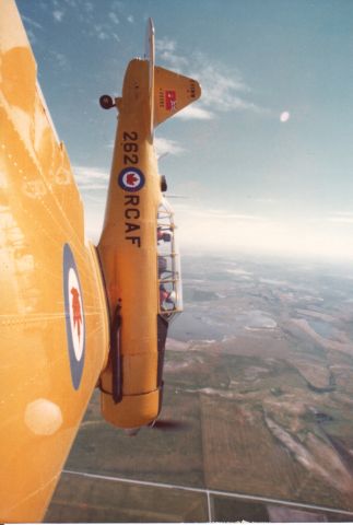 North American T-6 Texan (C-FSWW) - Promo shot from wing tip camera for a documentary of a family of four who flew four Harvards.