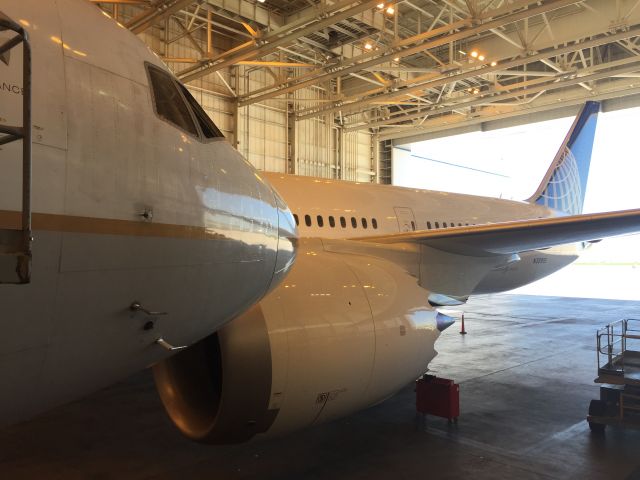 Boeing 787-9 Dreamliner (N38955) - From the side of a 777, N211UA, sits a brand new 787-900.