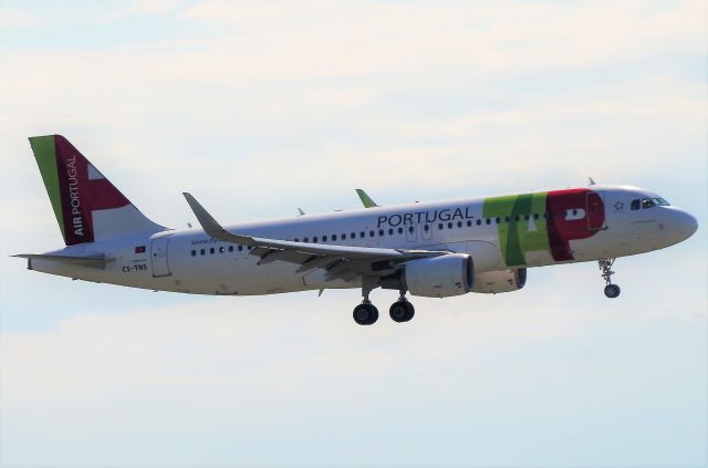 Airbus A320 (CS-TNS)