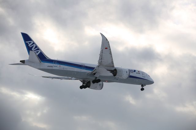 Boeing 787-8 (JA825A) - 31 December 2015:HND-HKD.