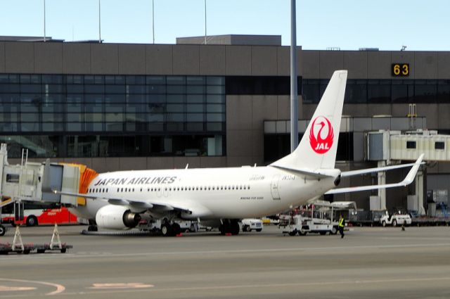 Boeing 737-800 (JA321J) - 2015