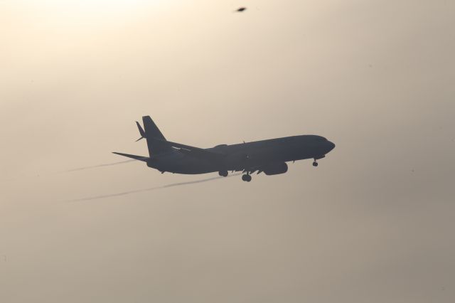 Boeing 737-900 (N69818)
