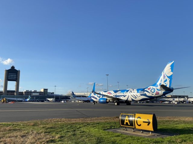 Boeing 737-800 (N559AS)