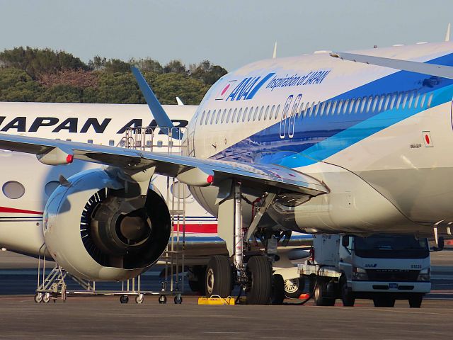 Airbus A320neo (JA217A) - I took this picture on Mar 25, 2020.