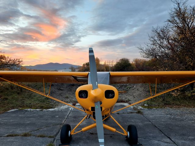 Piper L-21 Super Cub (OE-CUB) - Austrian Aviation Museums top restored 1962 PA18-150