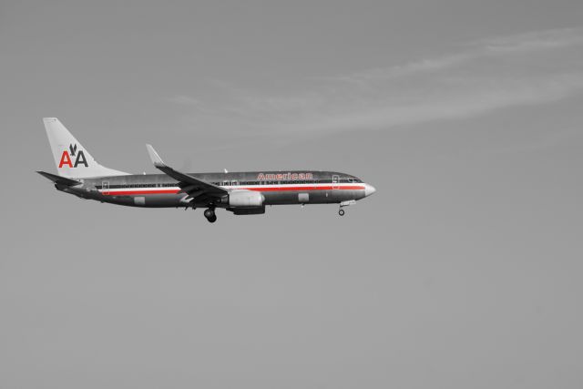 Boeing 737-800 —