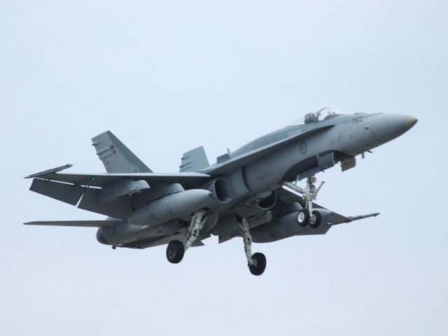 McDonnell Douglas FA-18 Hornet —