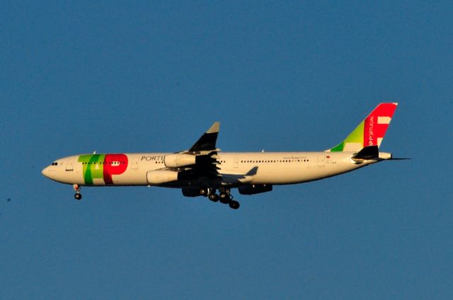 Airbus A340-300 (CS-TOA) - Landing near sunset