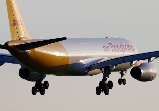 Airbus A330-300 (B-LDY)