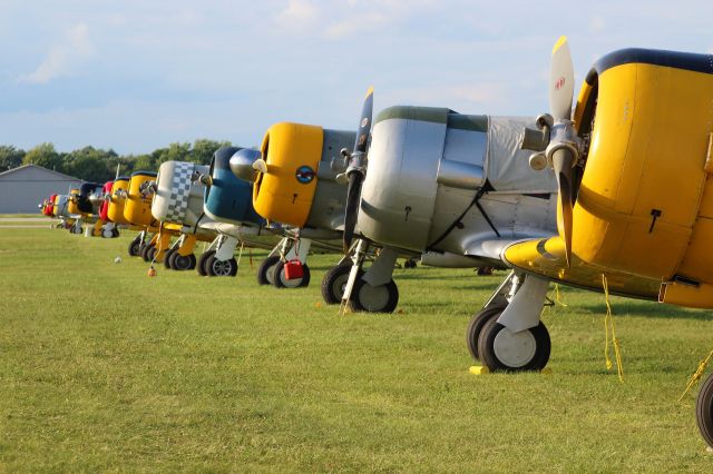 North American T-6 Texan — - T-6 Radial Engines in the Setting Sun.