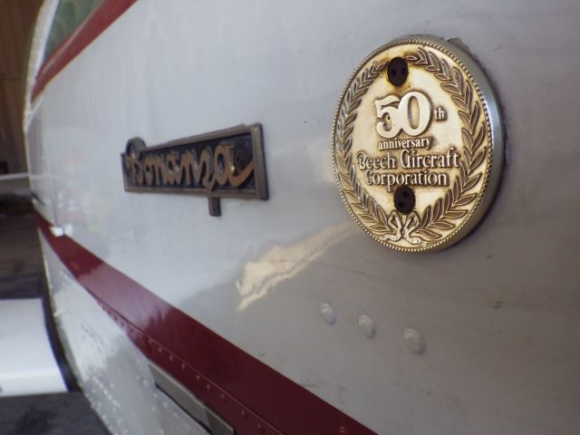 Beechcraft Bonanza (36) (N6442B)