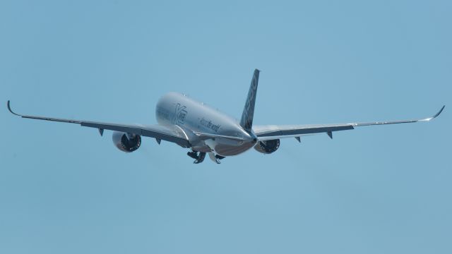 Airbus A350-900 (F-WWYB) - Airbus Industrie A350-XWB in Johannesburg, South Africa after go-around. 