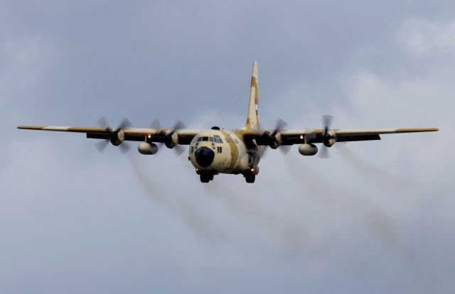 Lockheed C-130 Hercules (SU-BAS)