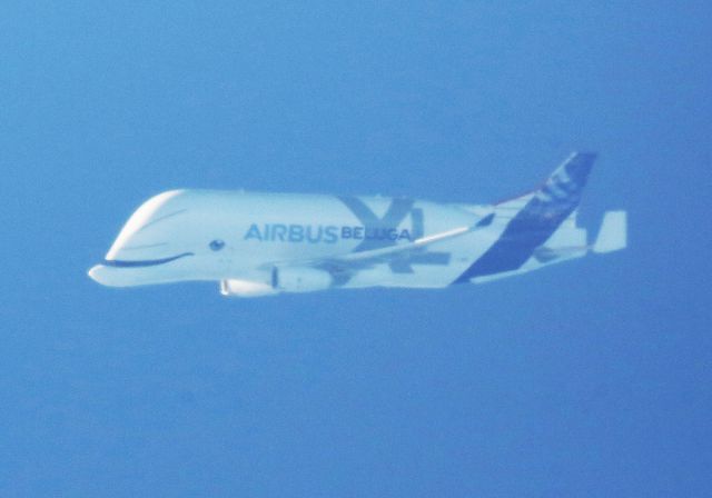 F-WBXL — - Vol test beluga XL 25 000 ft vertical vendée