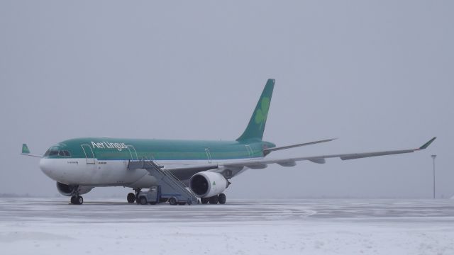 Airbus A330-200 (EI-DUO)