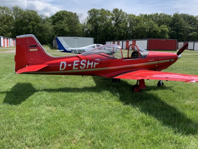 SEQUOIA Falco (D-ESHP) - Waiting for another trip to a nearby field, very nice Falco :-)