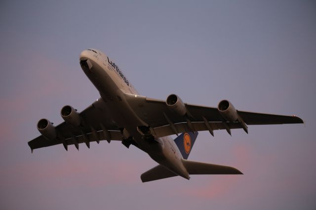 Airbus A380-800 (D-AIML)