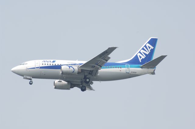 Boeing 737-500 (JA305K) - Final Approach to Haneda Intl Airport R/W16L on 2007/8/5 ANA c/s