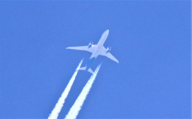 Boeing 787-8 (C-GYRS) - C-GYRS West Jet Airlines Inc. vol WJA survolant le Fleuve St-Laurent  à Lavaltrie QC. le 11-05-2022 à 13:16 