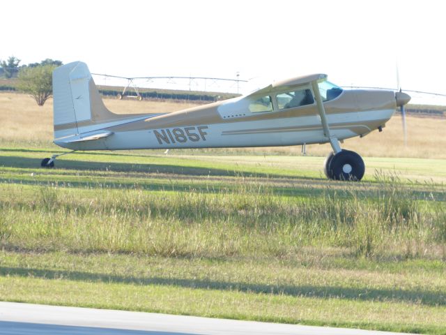 Cessna Skywagon 180 (N185F)