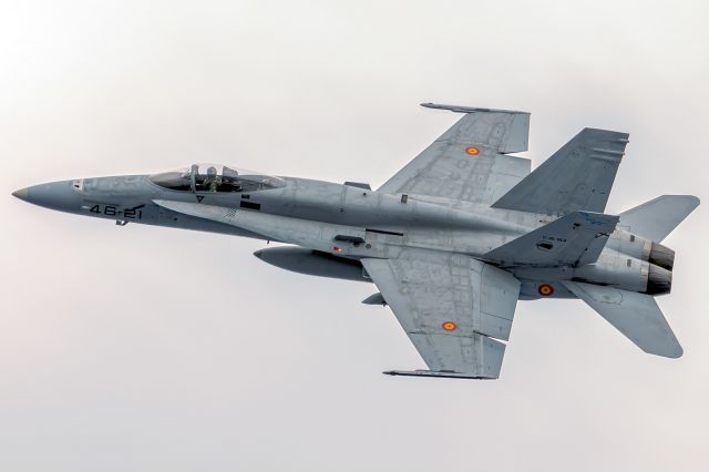 McDonnell Douglas FA-18 Hornet (C1593)