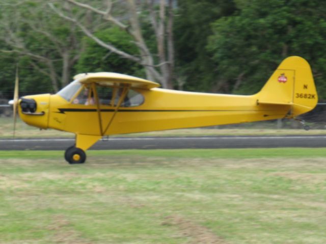 Piper NE Cub (N3682K)