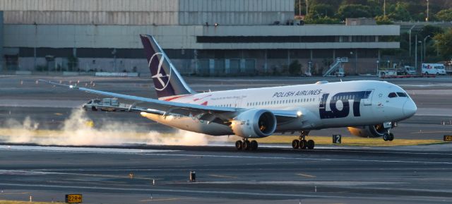 Boeing 787-8 (SP-LRH) - This beautiful Dreamliner touching down during "Blue Hour".