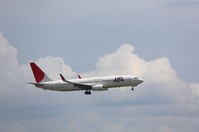 Boeing 737-800 (JA318J)
