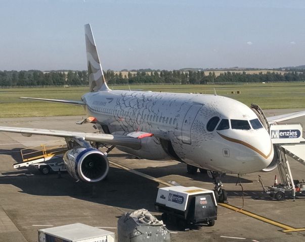 Airbus A319 (G-EUOH) - British Airways "Dove" a319 image taken from inside the terminal.