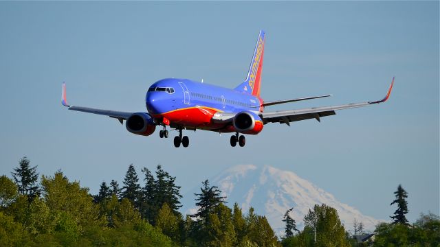 BOEING 737-300 (N643SW) - SWA8700 from KPHX on final to Rwy 34L on 4/29/14. (LN:2843 / cn 27716).  Mt Rainier can be seen in the distance.