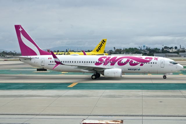 Boeing 737-800 (C-FPLS)