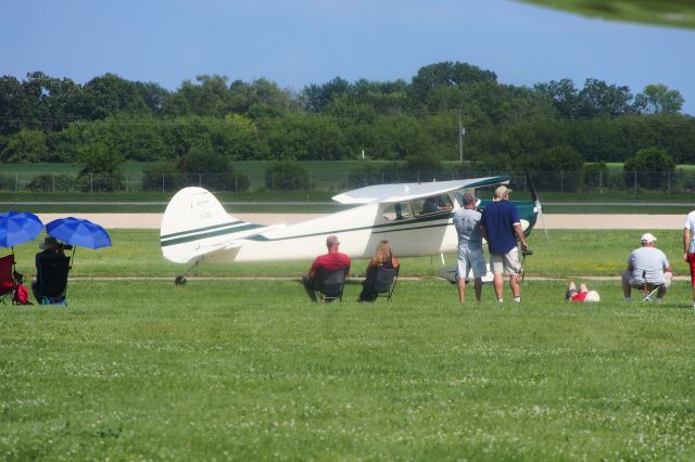 Cessna 170 (N1736D)