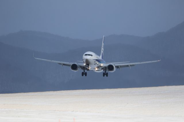 Boeing 737-800 (JA55AN) - January 1st 2020:ITM-HKD.