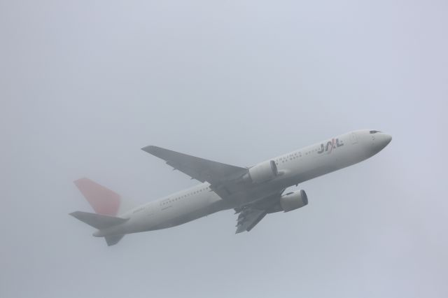 BOEING 767-300 (JA606J)