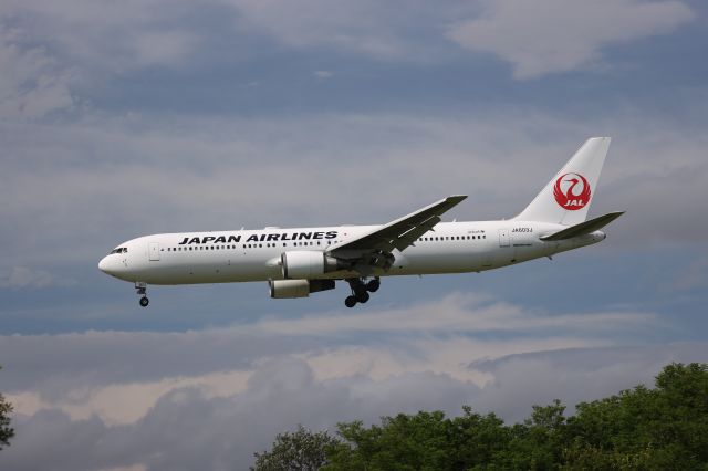 BOEING 767-300 (JA603J) - July 08, 2024:HND-HKD.