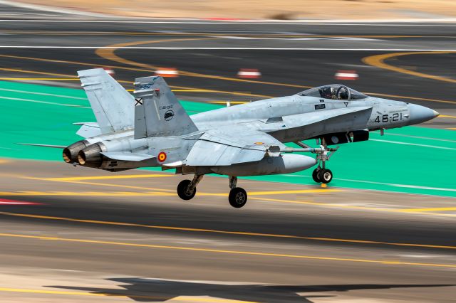 McDonnell Douglas FA-18 Hornet (C1593)