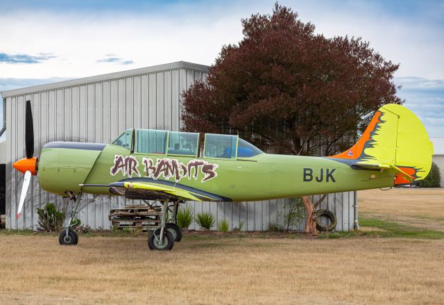 YAKOVLEV Yak-52 (ZK-BJK)