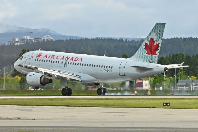 Airbus A319 (C-GAPY)