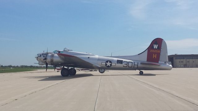 Boeing B-17 Flying Fortress (N5017N)