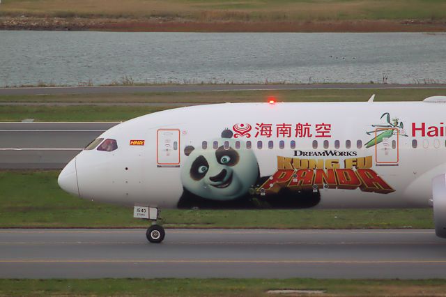 Boeing 787-9 Dreamliner (B-1540) - Hainans first B789 with Kung Fu Panda