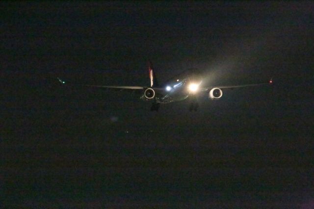 Airbus A330-200 (N386HA)
