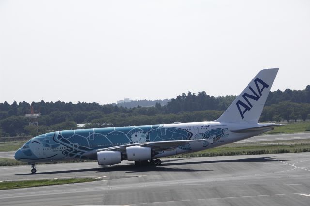 Airbus A380-800 (JA382A) - Taxing at NRT Intl 2019/08/18