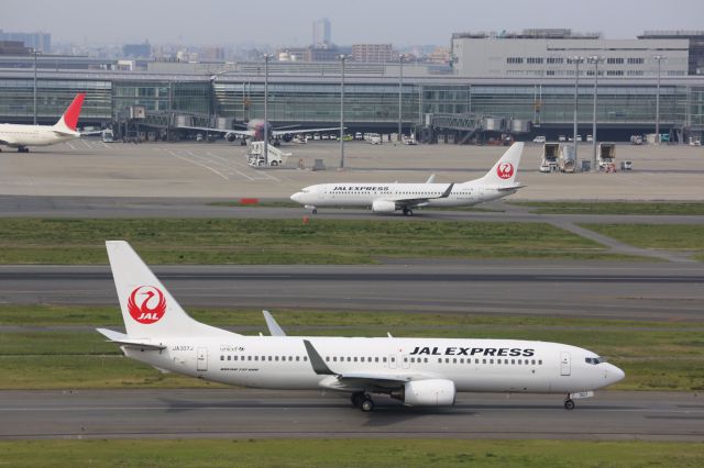 Boeing 737-800 (JA307J)