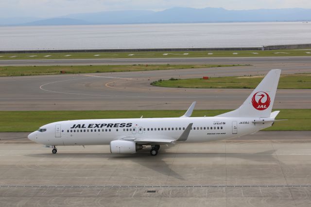 Boeing 737-800 (JA336J)