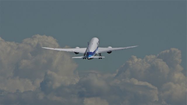 Boeing 787-8 (JA810A) - BOE507 (LN:48) climbs after departing runway 16R for a short flight test on 6/19/12.